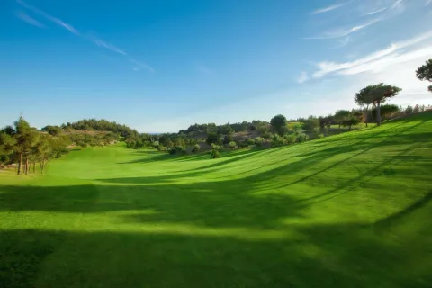 Chaparral Golf Club – 3